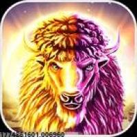 丰富的社交功能